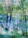 Ketnoididong.com 1